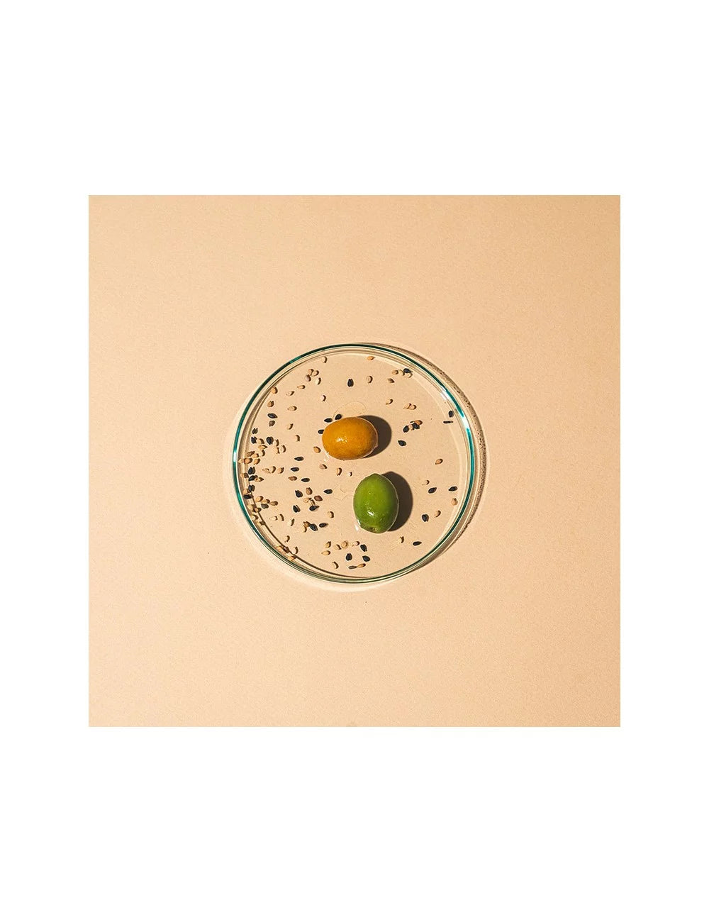 Regenerating & Firming Day Cream