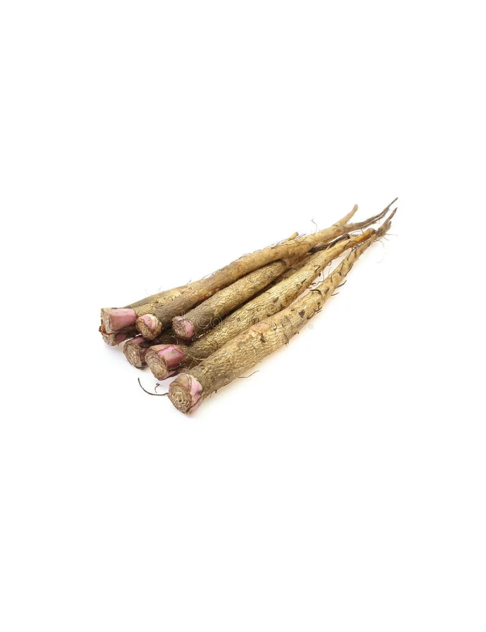 Skin Relief Ultra-Hydrating Serum