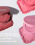 The Powder Blush