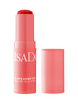 The Lip & Cheek Tint Cooling Jelly Stick