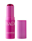 The Lip & Cheek Tint Cooling Jelly Stick