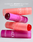 The Lip & Cheek Tint Cooling Jelly Stick
