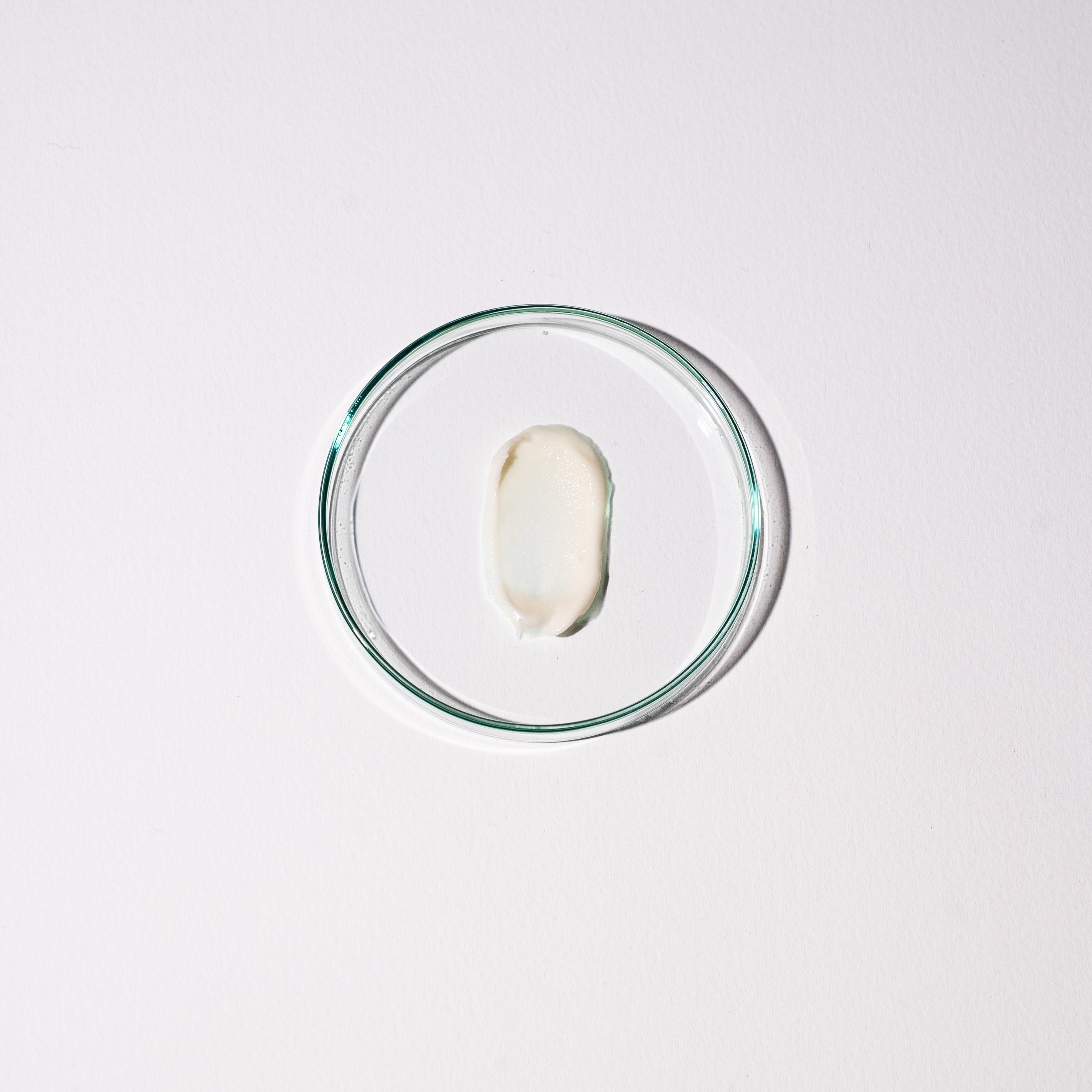 Detox Recovery Night Cream