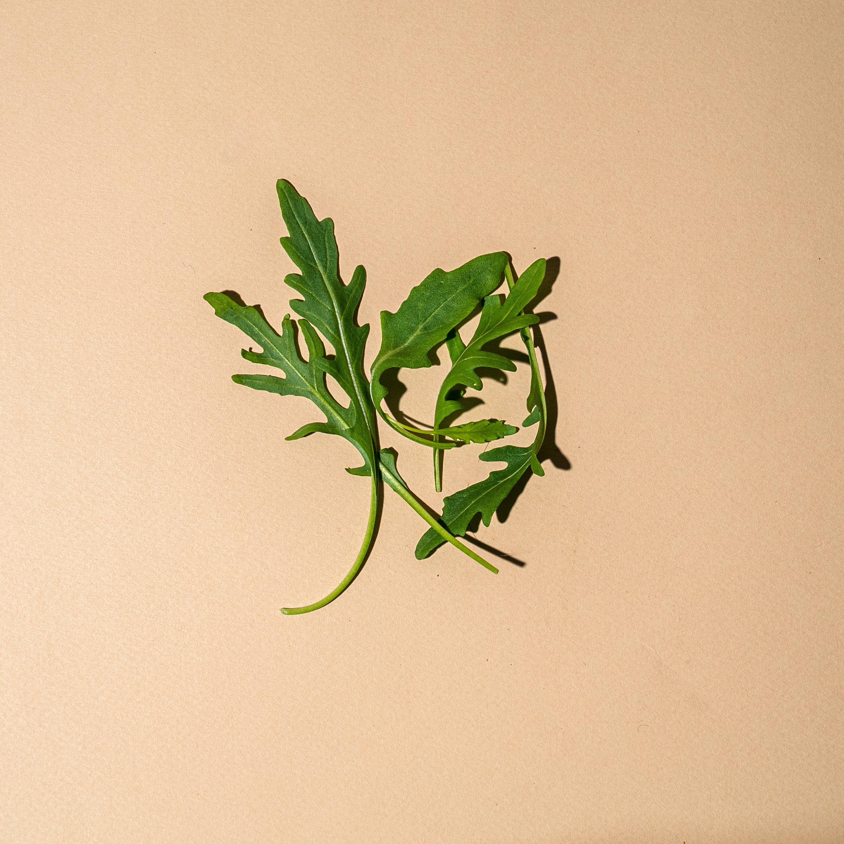 Detox Recovery Night Cream